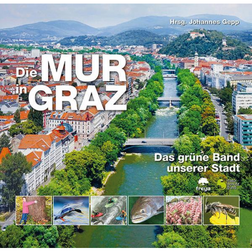 Die Mur in Graz