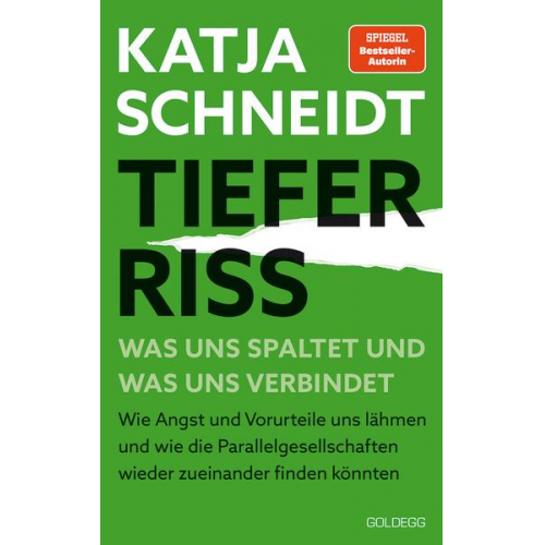 Katja Schneidt - Tiefer Riss - Was uns spaltet und was uns verbindet