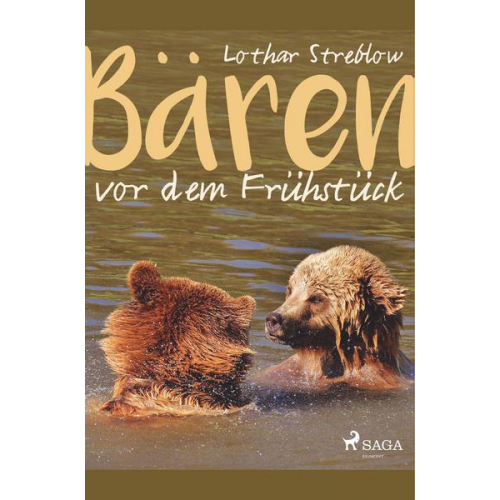 Lothar Streblow - Bären vor dem Frühstück - Erzählungen