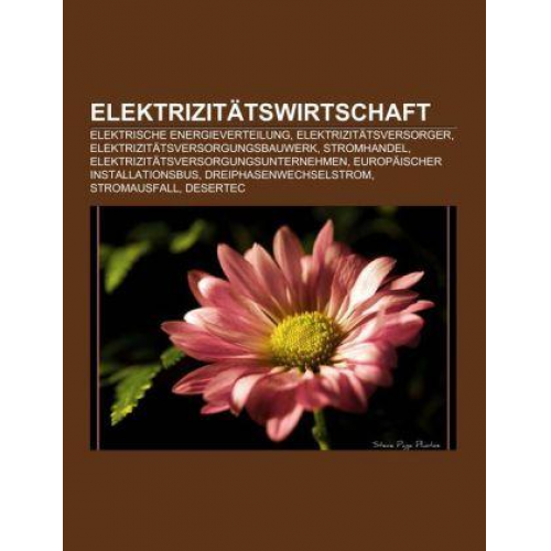 Elektrizitätswirtschaft