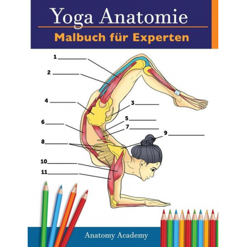 Anatomy Academy - Yoga-Anatomie-Malbuch für Experten