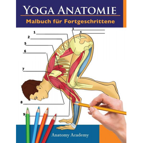 Anatomy Academy - Yoga Anatomie Malbuch für Fortgeschrittene