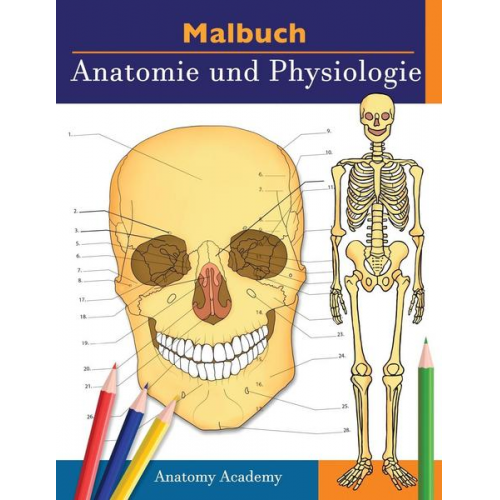 Clement Harrison - Malbuch Anatomie und Physiologie