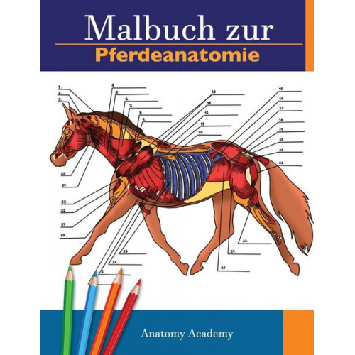 Anatomy Academy - Malbuch zur Pferdeanatomie