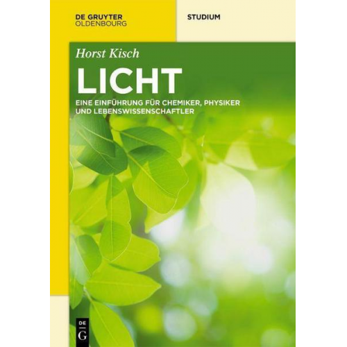 Horst Kisch - Licht