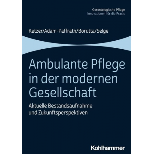 Ruth Ketzer & Renate Adam-Paffrath & Manfred Borutta & Karola Selge - Ambulante Pflege in der modernen Gesellschaft