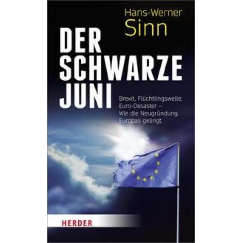 Hans Werner Sinn - Der Schwarze Juni