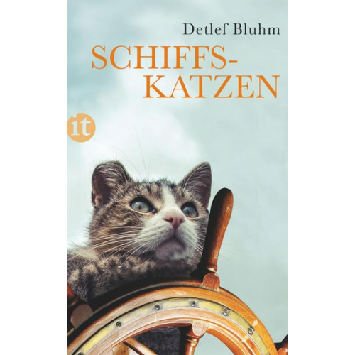 Detlef Bluhm - Schiffskatzen