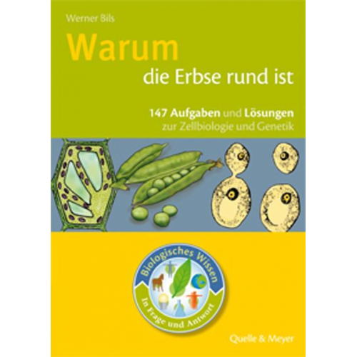 Werner Bils - Warum die Erbse rund ist