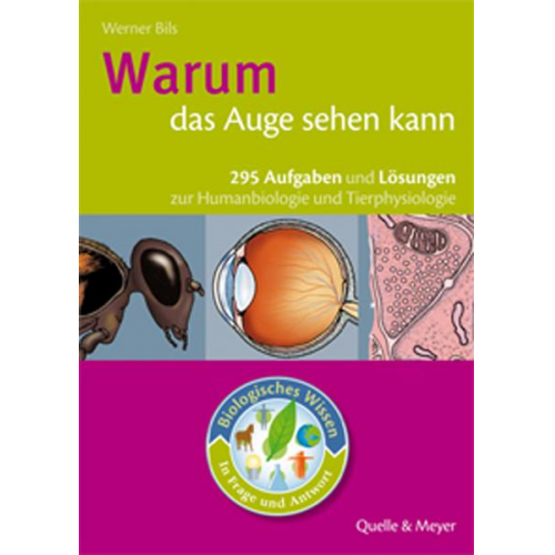 Werner Bils - Warum das Auge sehen kann