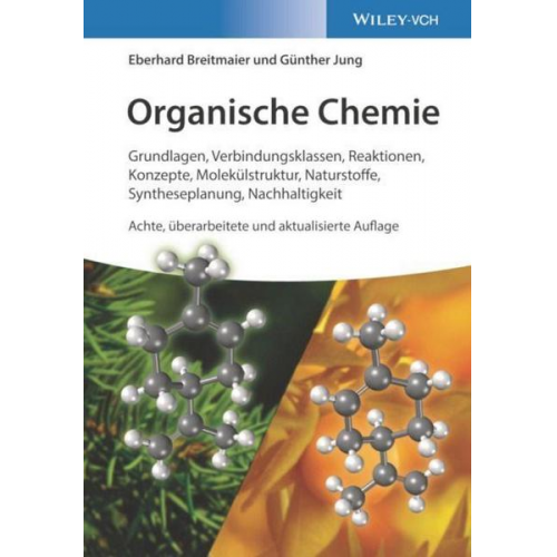 Eberhard Breitmaier & Günther Jung - Organische Chemie