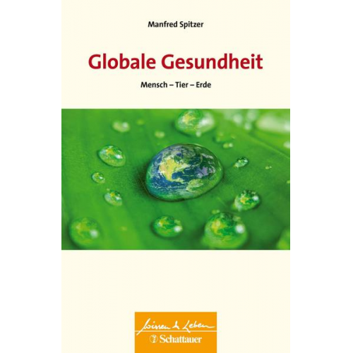 Manfred Spitzer - Globale Gesundheit (Wissen & Leben)