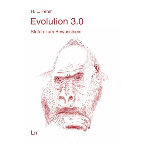 H. L. Fehm - Evolution 3.0