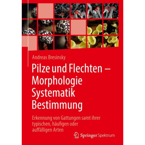 Andreas Bresinsky - Pilze und Flechten – Morphologie, Systematik, Bestimmung