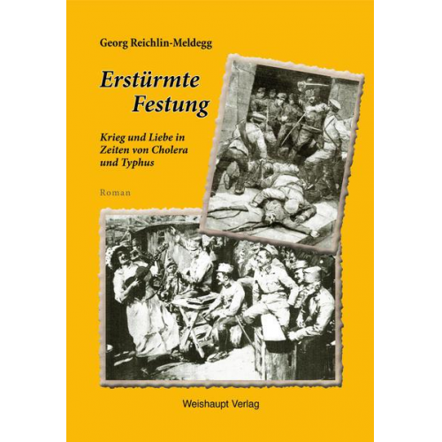 Georg Reichlin-Meldegg - Erstürmte Festung