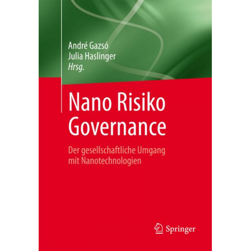 Nano Risiko Governance