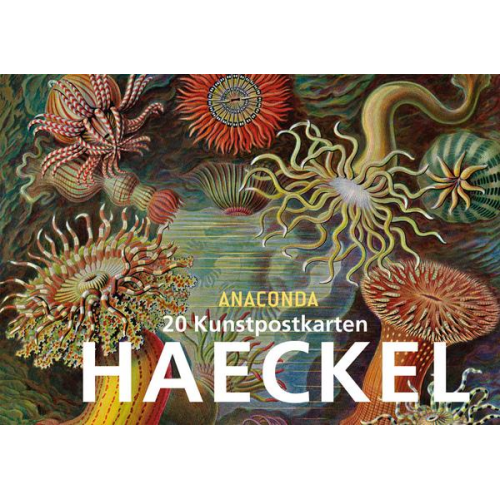 Ernst Haeckel - Postkartenbuch Ernst Haeckel