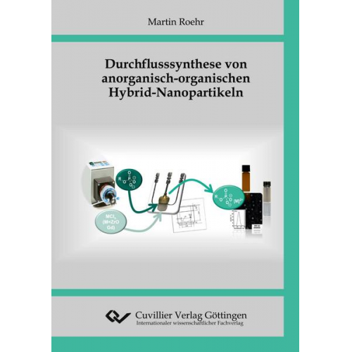 Martin Roehr - Durchflusssynthese von anorganisch-organischen Hybrid-Nanopartikeln