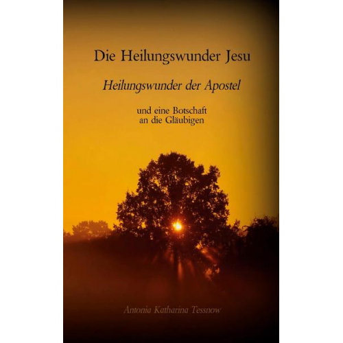 Antonia Katharina Tessnow - Die Heilungswunder Jesu, Heilungswunder der Apostel