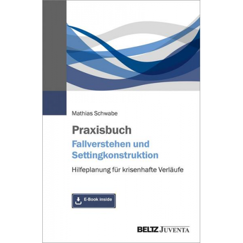 Mathias Schwabe - Praxisbuch Fallverstehen und Settingkonstruktion