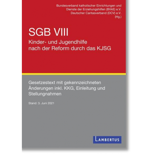 SGB VIII - Kinder- und Jugendhilfe nach der Reform durch das KJSG