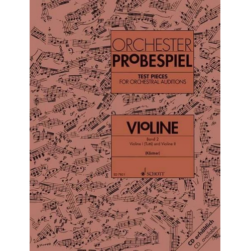 Orchester-Probespiel Violine