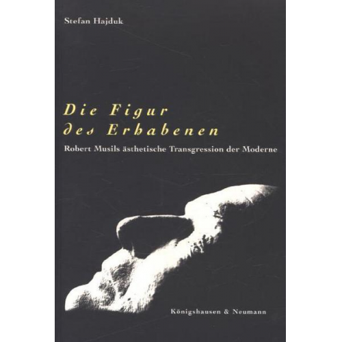 Stefan Hajduk - Die Figur des Erhabenen