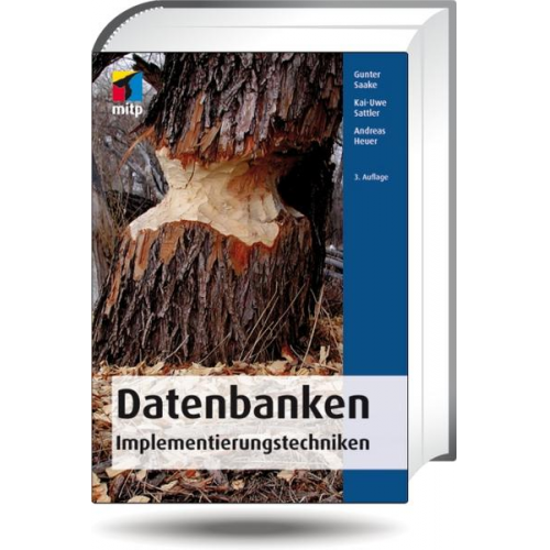 Gunter Saake & Andreas Heuer & Kai-Uwe Sattler - Datenbanken