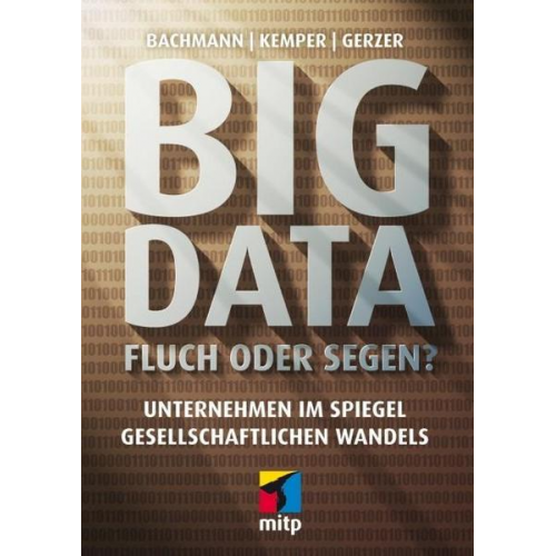 Ronald Bachmann & Guido Kemper & Thomas Gerzer - Big Data - Fluch oder Segen?