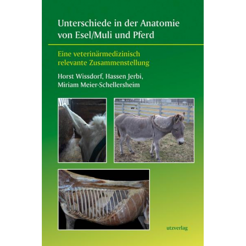 Horst Wissdorf & Hassen Jerbi & Miriam Meier-Schellersheim - Unterschiede in der Anatomie von Esel/Muli und Pferd