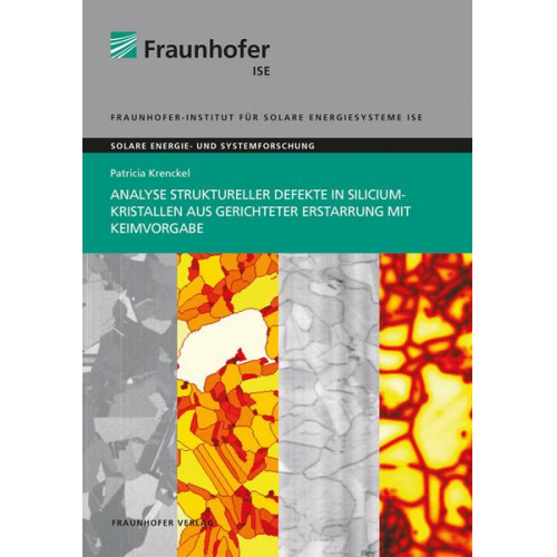 Patricia Krenckel - Analyse struktureller Defekte in Siliciumkristallen aus gerichteter Erstarrung mit Keimvorgabe.