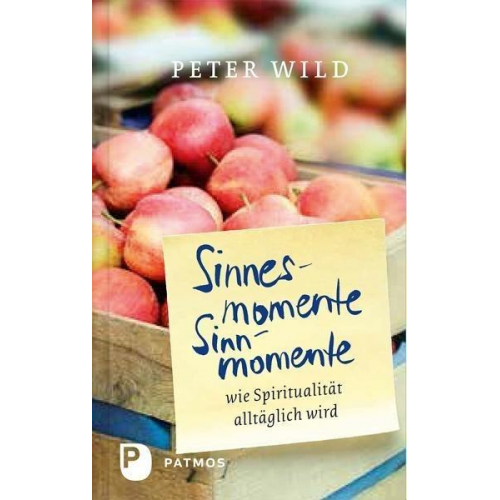 Peter Wild - Sinnesmomente-Sinnmomente