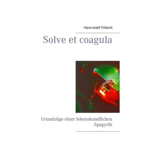 Hans-Josef Fritschi - Solve et coagula