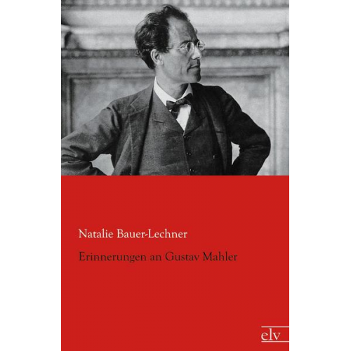 Natalie Bauer-Lechner - Erinnerungen an Gustav Mahler