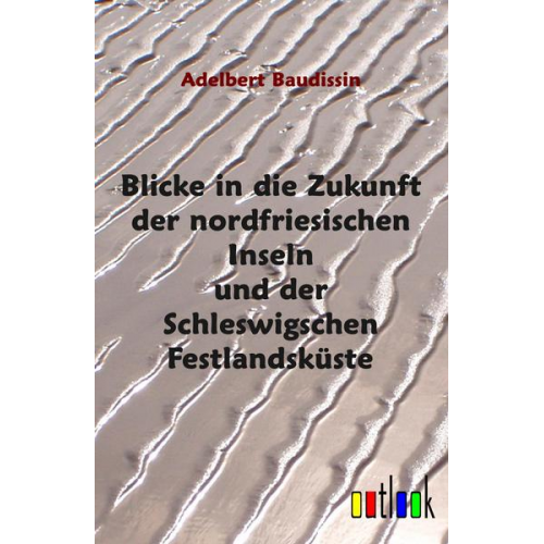 Adelbert Baudissin - Blicke in die Zukunft der nordfriesischen Inseln und der Schleswigschen Festlandsküste