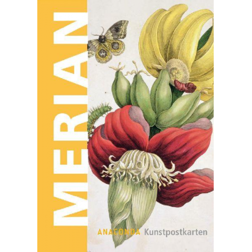 Maria S. Merian - Postkarten Merian