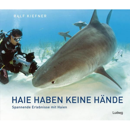 Ralf Kiefner - Haie haben keine Hände – Spannende Erlebnisse mit Haien