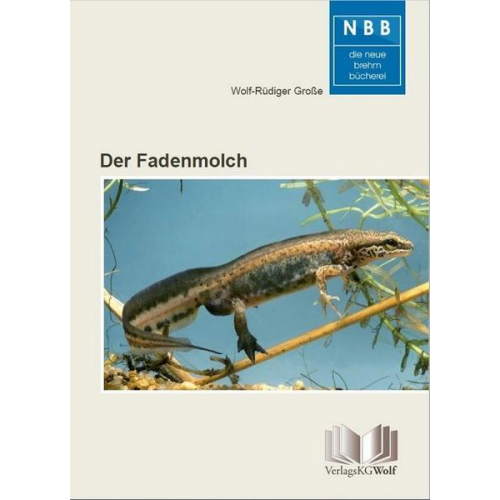 Wolf-Rüdiger Grosse - Der Fadenmolch