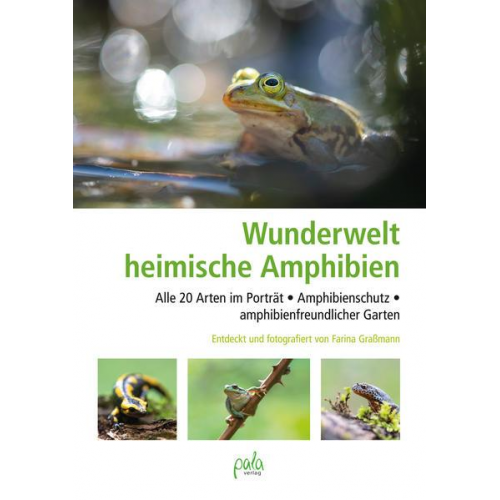 Farina Grassmann - Wunderwelt heimische Amphibien