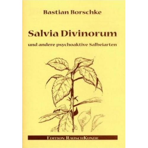 Bastian Borschke - Salvia Divinorum