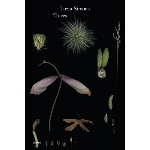 Luzia Simons - Traces