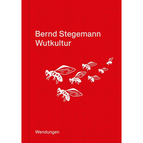 Bernd Stegemann - Wutkultur