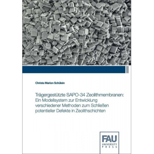 Christa Marion Schülein - Trägergestützte SAPO-34 Zeolithmembranen