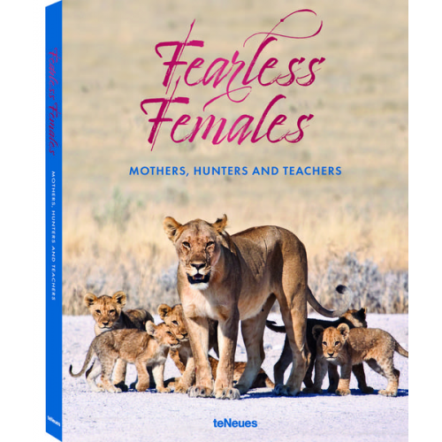 Mario Ludwig - Fearless Females