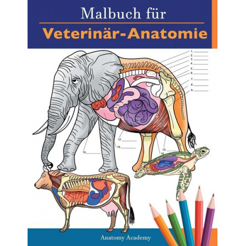 Anatomy Academy - Malbuch für Veterinär-Anatomie