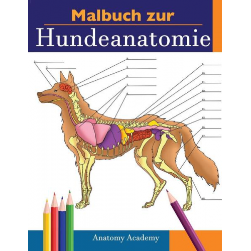 Anatomy Academy - Malbuch zur Hundeanatomie