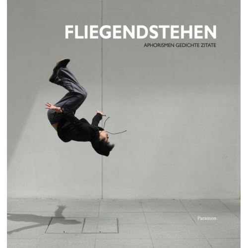 Jürgen G. Thaller - Fliegendstehen