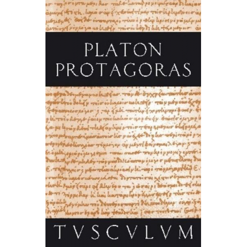 Platon - Protagoras / Anfänge politischer Bildung