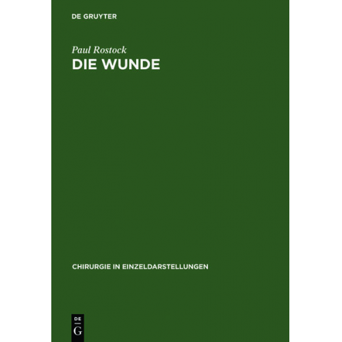 Paul Rostock - Die Wunde