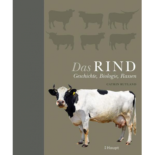 Catrin Rutland - Das Rind